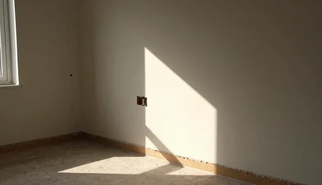网站建设找哪家？如何科学选型与优化数据